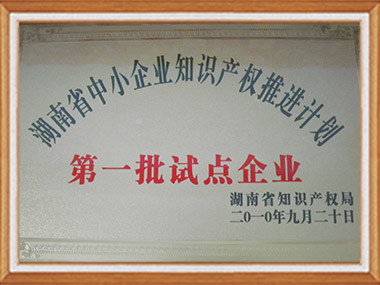 知識(shí)產(chǎn)權(quán)試點(diǎn)企業(yè)
